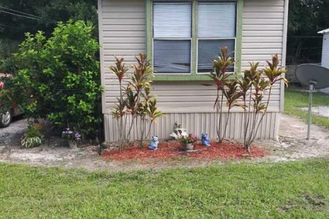 Immobilier commercial à vendre à Auburndale, Floride: 17 chambres, 612.04 m2 № 1400513 - photo 5