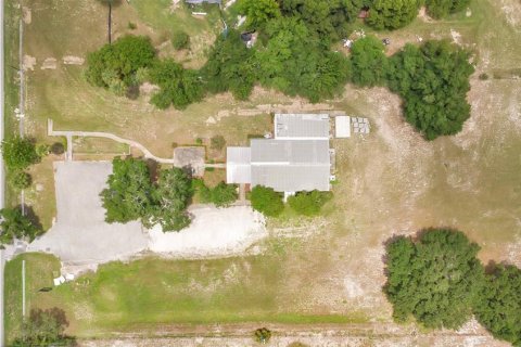 Immobilier commercial à vendre à Sorrento, Floride: 462.1 m2 № 2126154 - photo 10