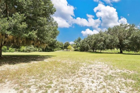 Immobilier commercial à vendre à Sorrento, Floride: 462.1 m2 № 2126154 - photo 11