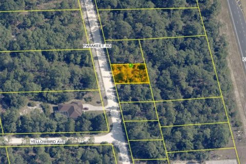 Land in Weeki Wachee, Florida № 2158698 - photo 2