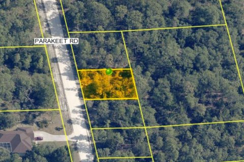 Land in Weeki Wachee, Florida № 2158698