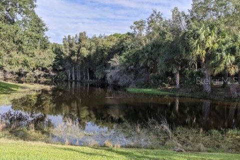 Land in Port Charlotte, Florida № 2217988 - photo 8