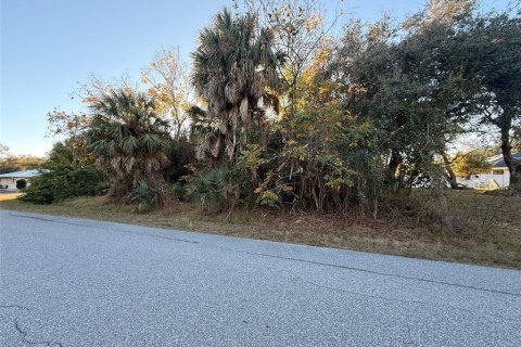Land in Port Charlotte, Florida № 2217988 - photo 4