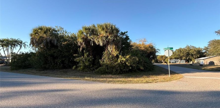 Land in Port Charlotte, Florida № 2217988