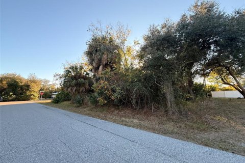 Land in Port Charlotte, Florida № 2217988 - photo 3