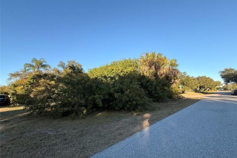 Land in Port Charlotte, Florida № 2217988 - photo 5