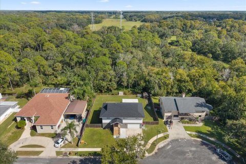 House in Holiday, Florida 4 bedrooms, 195.09 sq.m. № 2429421 - photo 2