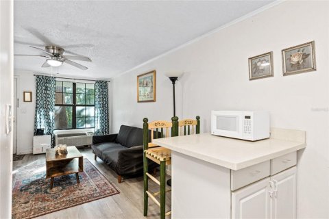 Condominio en alquiler en Gainesville, Florida, 1 dormitorio, 24.8 m2 № 1800096 - foto 4