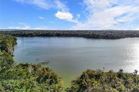 Condominio en alquiler en Gainesville, Florida, 1 dormitorio, 24.8 m2 № 1800096 - foto 13