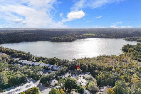 Condominio en alquiler en Gainesville, Florida, 1 dormitorio, 24.8 m2 № 1800096 - foto 14