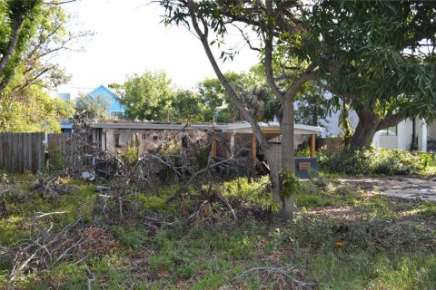 Land in Tampa, Florida № 1770121 - photo 6