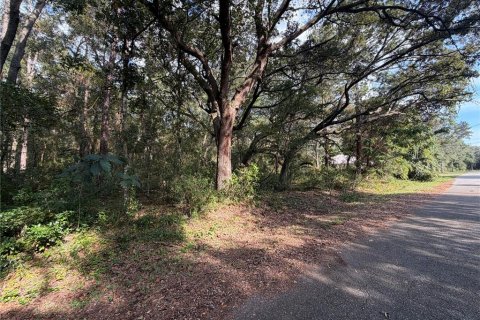 Land in Ocklawaha, Florida № 2391501 - photo 5