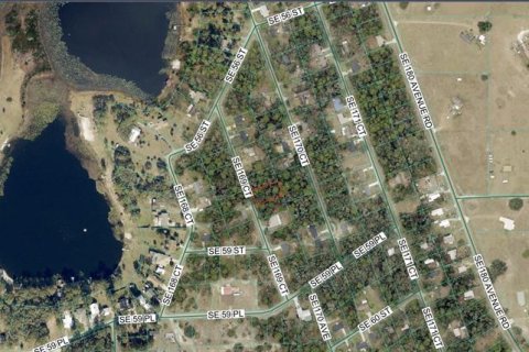Land in Ocklawaha, Florida № 2391501