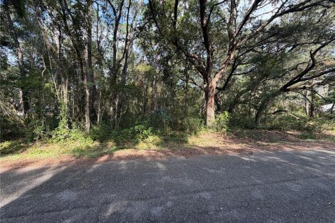 Land in Ocklawaha, Florida № 2391501 - photo 7