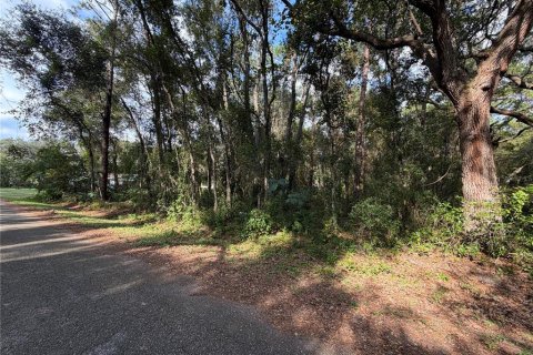 Land in Ocklawaha, Florida № 2391501 - photo 6