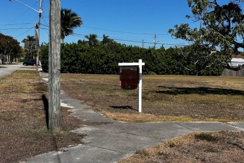 Земельный участок в Хомстед, Флорида № 2025770