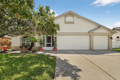 House in Riverview, Florida 3 bedrooms, 245.17 sq.m. № 2129532
