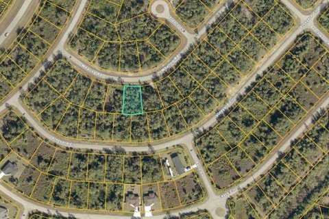 Land in North Port, Florida № 2162743 - photo 2