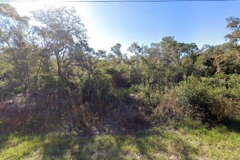 Land in Kissimmee, Florida № 2211785