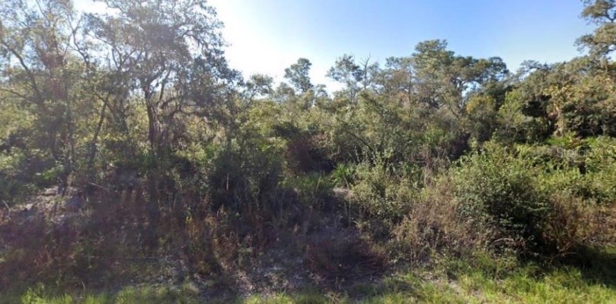 Terrain à Kissimmee, Floride № 2211785