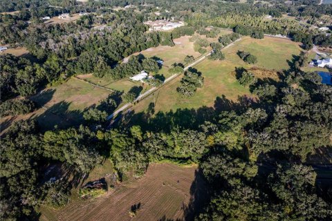 Casa en venta en Thonotosassa, Florida, 7 dormitorios, 708.01 m2 № 2330887 - foto 5