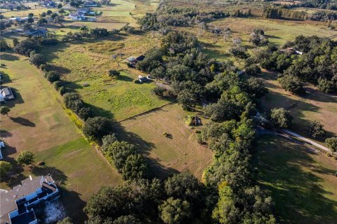Casa en venta en Thonotosassa, Florida, 7 dormitorios, 708.01 m2 № 2330887 - foto 7