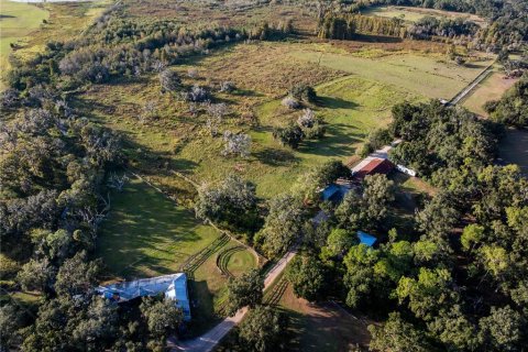Casa en venta en Thonotosassa, Florida, 7 dormitorios, 708.01 m2 № 2330887 - foto 9