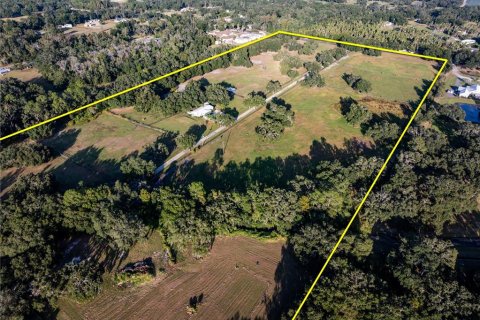 Casa en venta en Thonotosassa, Florida, 7 dormitorios, 708.01 m2 № 2330887 - foto 4