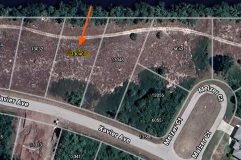 Land in Port Charlotte, Florida № 2161787 - photo 2