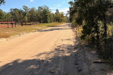 Terrain à Interlachen, Floride № 2399415