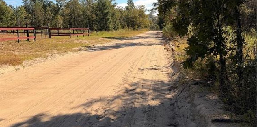 Terrain à Interlachen, Floride № 2399415