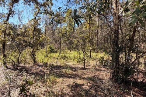 Terrain à vendre à Interlachen, Floride № 2399415 - photo 6