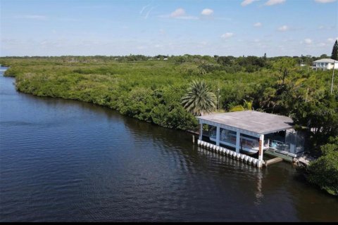 Land in Venice, Florida № 2145262 - photo 6