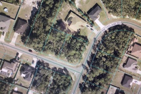 Terrain à vendre à Ocala, Floride № 2204295 - photo 4