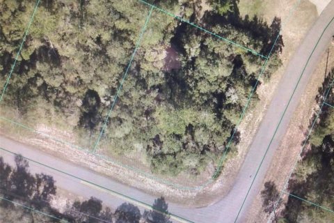 Land in Ocala, Florida № 2204295