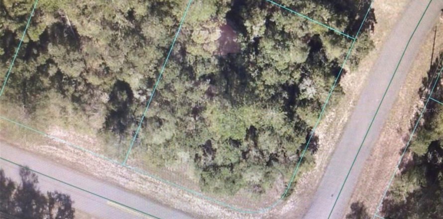 Terrain à Ocala, Floride № 2204295
