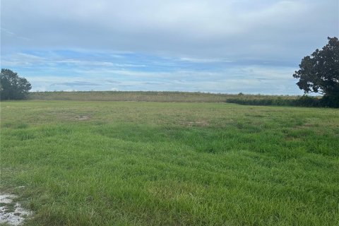 Land in Lake Placid, Florida № 2123014
