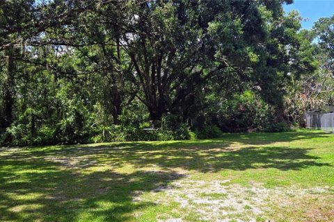 Land in Dover, Florida № 1828408 - photo 3