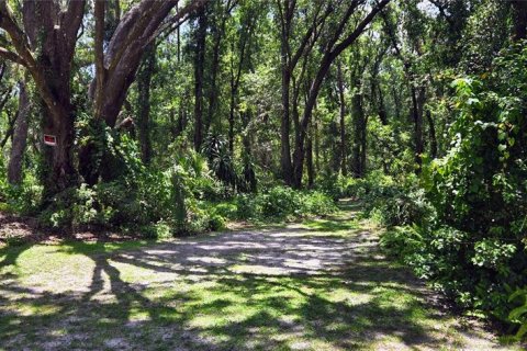 Land in Dover, Florida № 1828408 - photo 4
