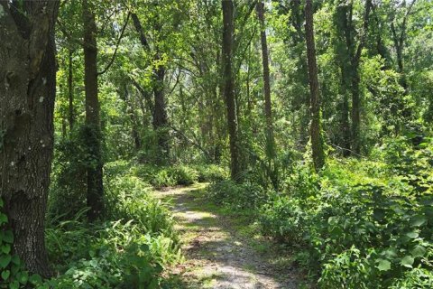 Land in Dover, Florida № 1828408 - photo 7