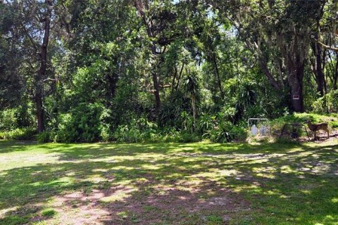 Land in Dover, Florida № 1828408 - photo 9