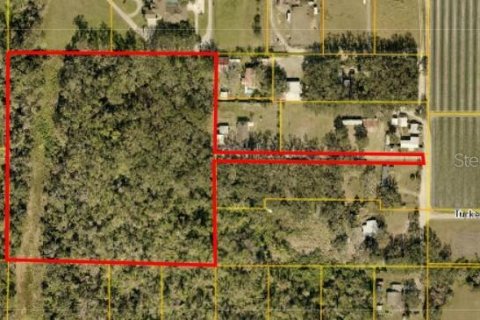Land in Dover, Florida № 1828408 - photo 1