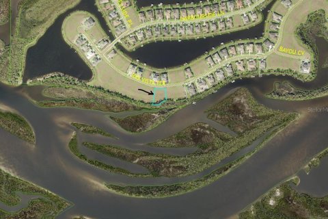 Terrain à vendre à Parrish, Floride № 1822736 - photo 1