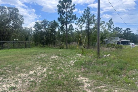 Land in Brooksville, Florida № 1163430 - photo 3