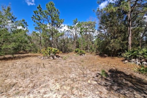 Terrain à vendre à Ocklawaha, Floride № 2164866 - photo 5