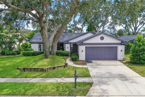 House in Holiday, Florida 3 bedrooms, 153.01 sq.m. № 2266282