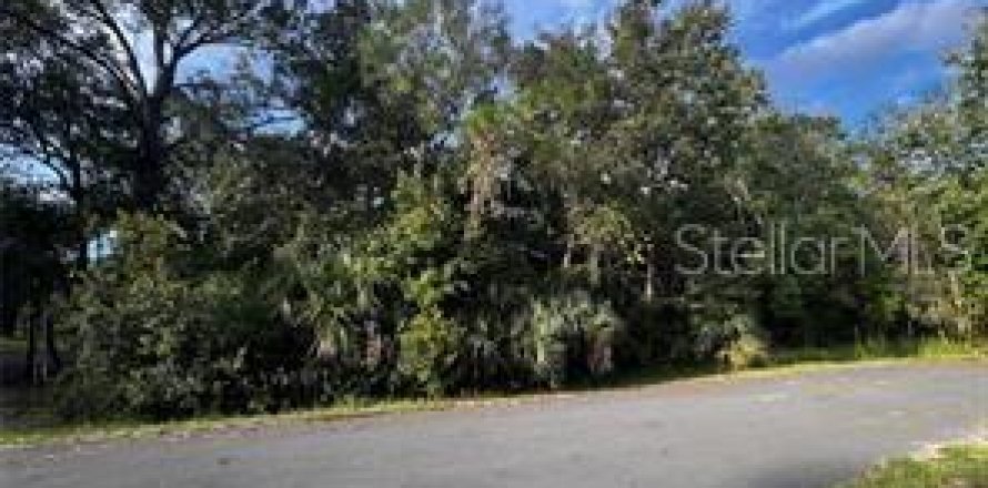 Terrain à Kissimmee, Floride № 2234298