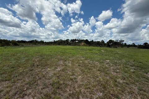 Land in Okeechobee, Florida № 1789890 - photo 13