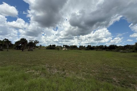 Land in Okeechobee, Florida № 1789890 - photo 12