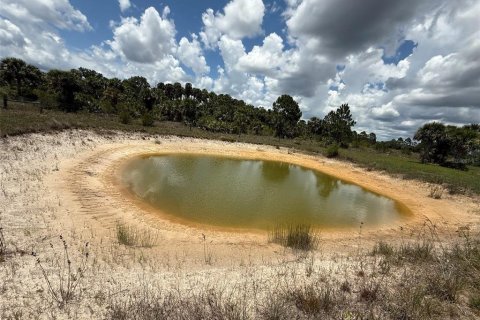 Land in Okeechobee, Florida № 1789890 - photo 8